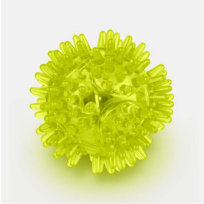 Balle lumineuse hérisson rebondissante pour chien