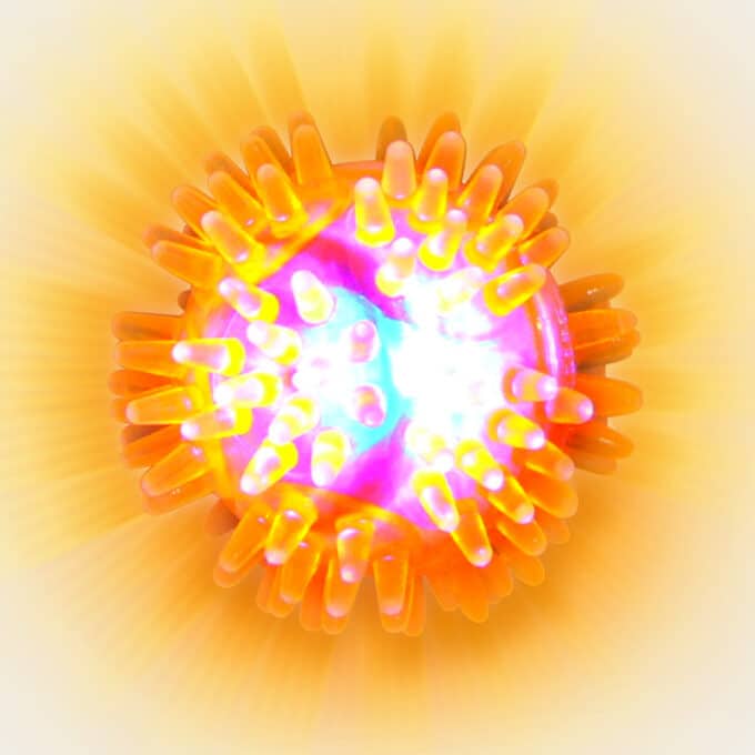 Balle lumineuse hérisson rebondissante pour chien