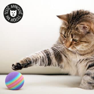 Balle en mousse pour chat