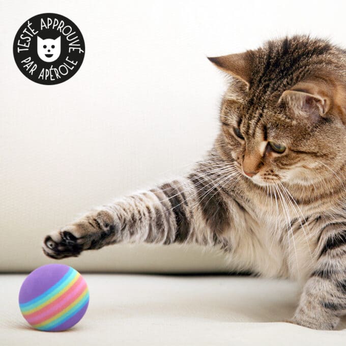 balle-mousse-chat-chaton-3 Balle en mousse pour chat