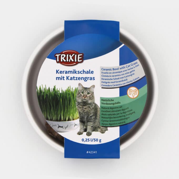 bol-herbe-a-chat-fleuriste-graines-semer-3 Gamelle d'herbe à chat fleuriste avec graines à semer