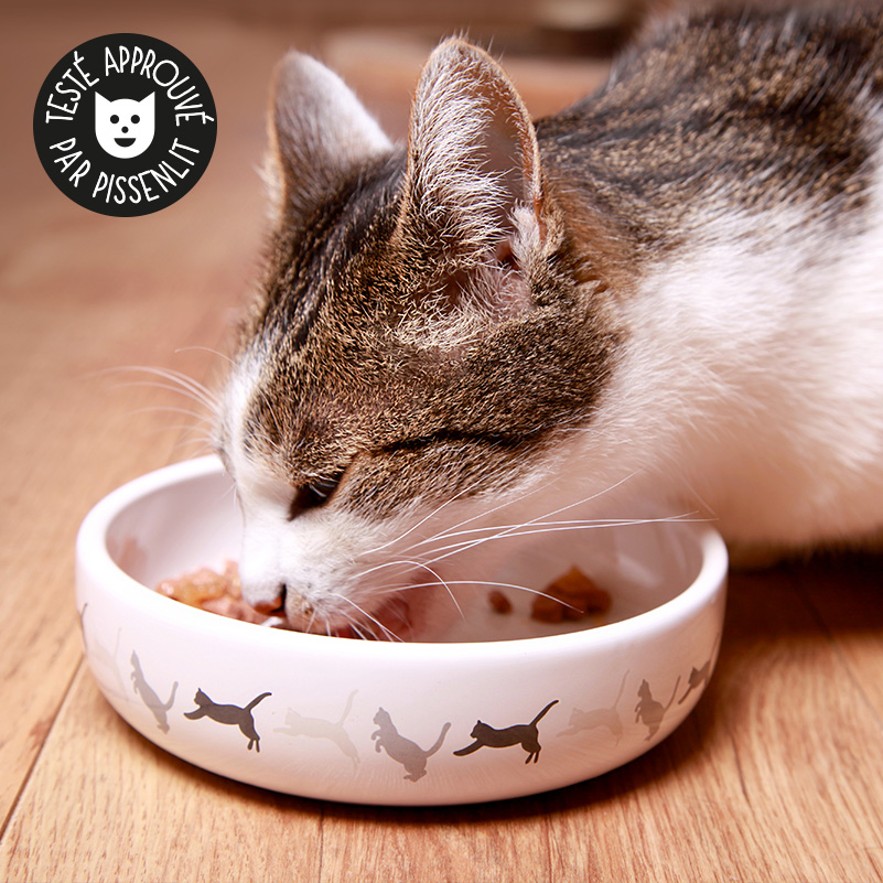 Herbe à chat - Gamelle et graines à semer - Catedogshop