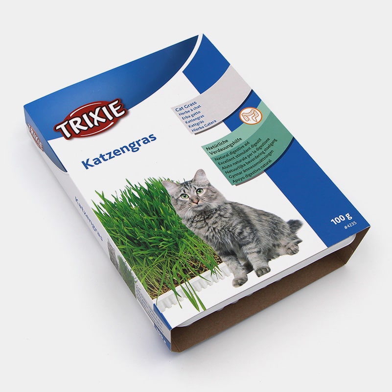 Graines d'herbe à chat Bio en disque pré-semé en sachet