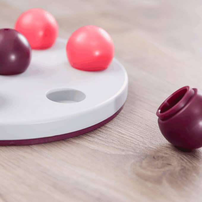 jouet alimentaire solitaire interactif de stratégie et d'intelligence Cat Activity Trixie pour le chat