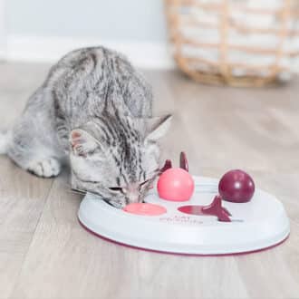 jouet alimentaire interactif de stratégie et d'intelligence Cat Activity Trixie pour le chat