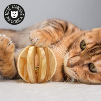 Balle en bois et grelot pour chat