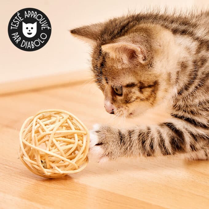 Balle en rotin avec grelot