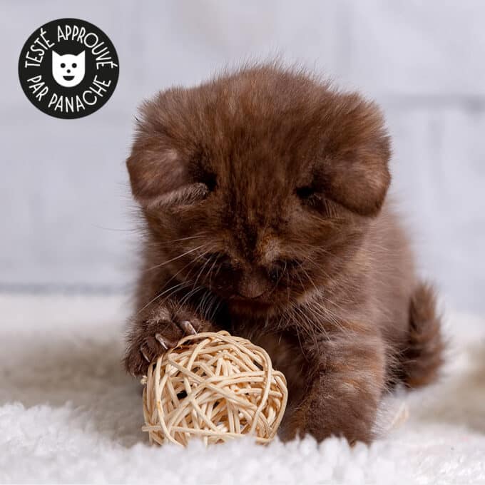 Balle en rotin avec grelot pour chat