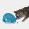 jouet-distributeur-croquettes-friandises-chat-trixie-9 Jeu distributeur de croquettes pour chat Cat Activity Snack Box