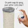 spray-catnip-cataire-herbe-a-chat-2 Herbe à chat en spray cataire pour griffoir