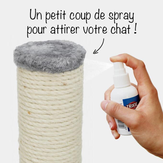 spray-catnip-cataire-herbe-a-chat-2 Herbe à chat en spray cataire pour griffoir