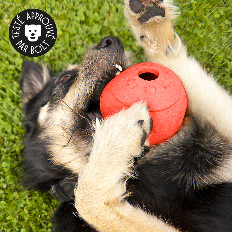 Balle indestructible à friandises - Chiens & Chats Boutique