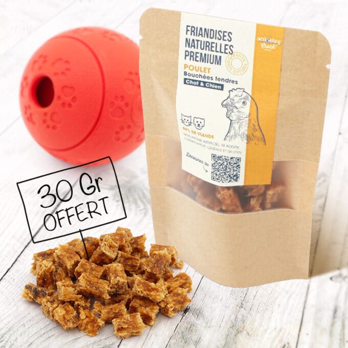 balle-dsitributrice-croquettes-friandises-chien-9