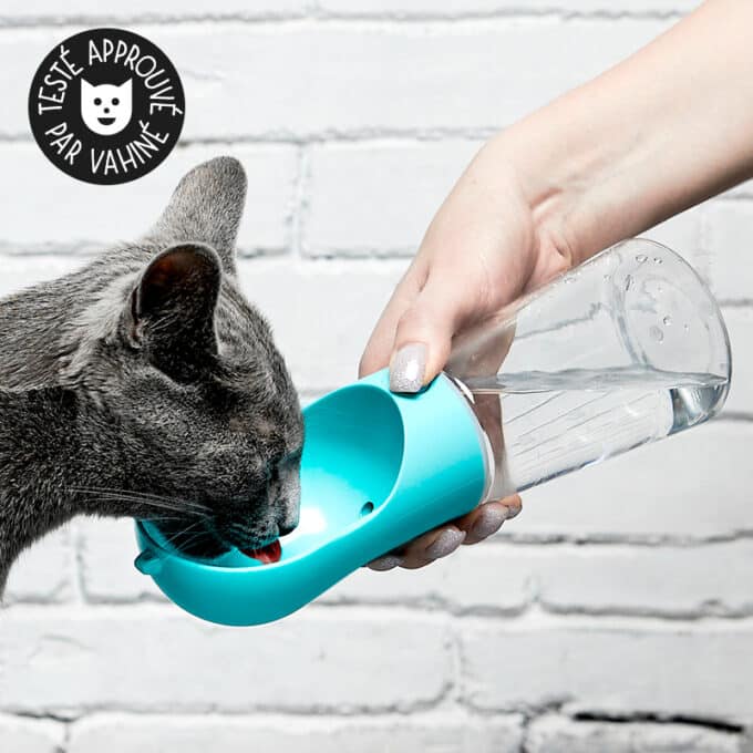 Gourde pour chat en bouteille portable