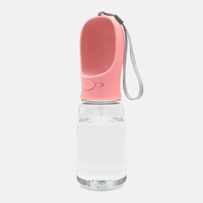 Gourde bleue pour chien et chat en bouteille portable