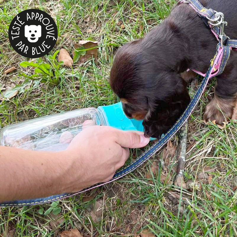 Gourde de voyage pour chien LAGO