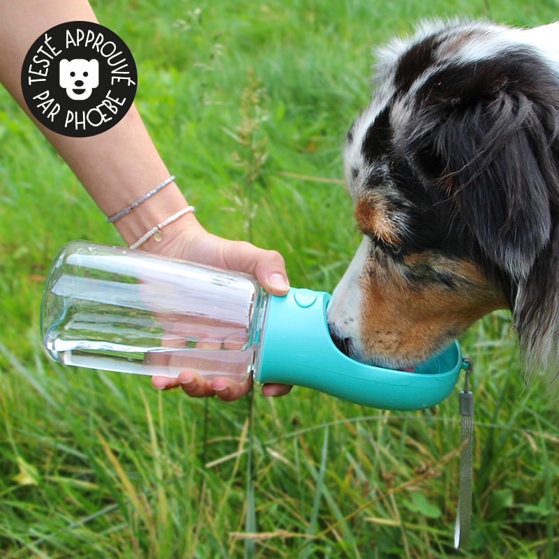 Bouteille d'eau de voyage portable pour chien avec gamelle pour