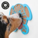 Tapis de léchage pour chien ou assiette à lécher