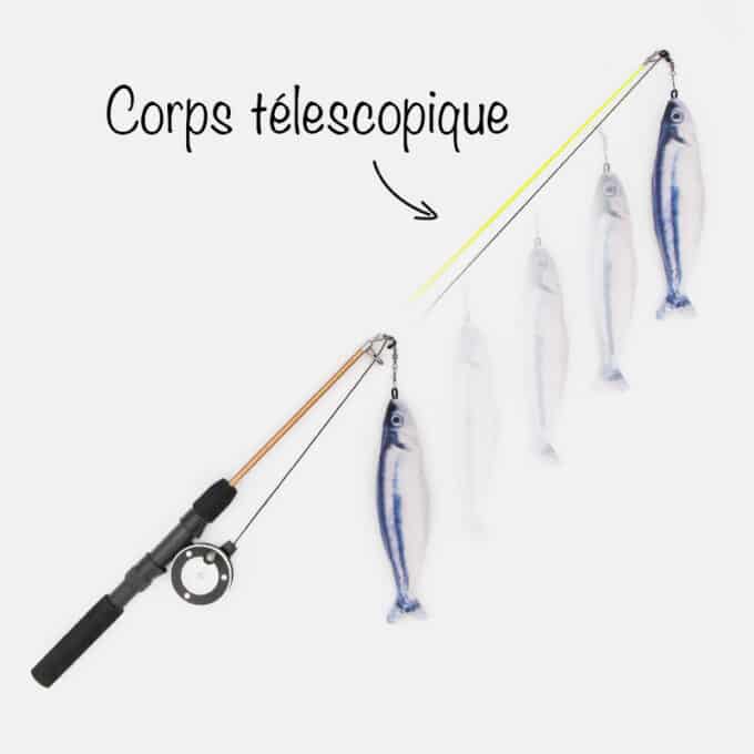 Canne à pêche chat véritable