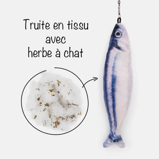 Canne à pêche chat véritable