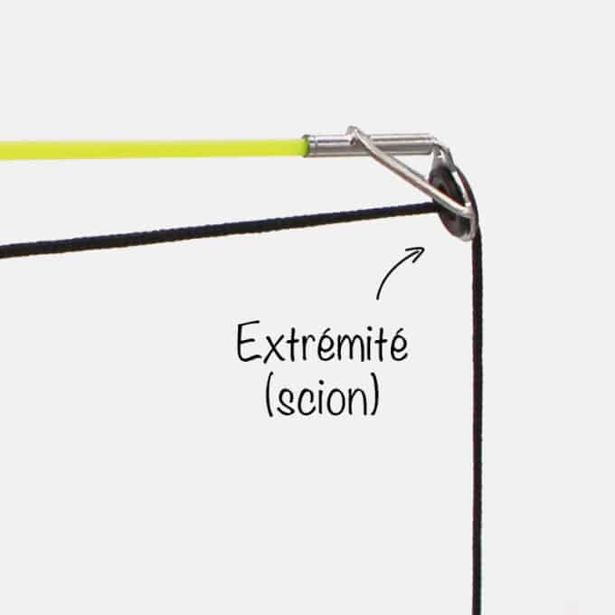 Canne à pêche chat véritable