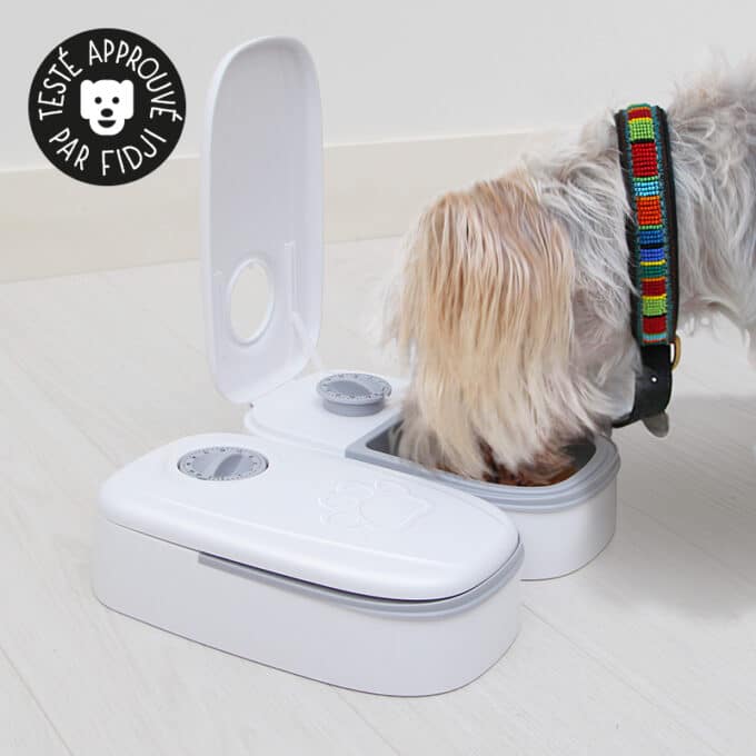 distributeur-alimentation-fraiche-patee-refrigere-chat-chien-sans-dent-21 Distributeur de pâtée réfrigérée pour chat et chien
