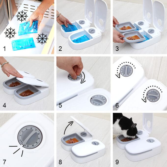 distributeur-alimentation-fraiche-patee-refrigere-chat-chien-sans-dent-22 Distributeur de pâtée réfrigérée pour chat et chien