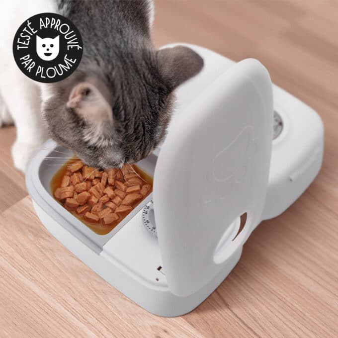 distributeur-alimentation-fraiche-patee-refrigere-chat-chien-sans-dent-29 Distributeur de pâtée pour chat réfrigérée