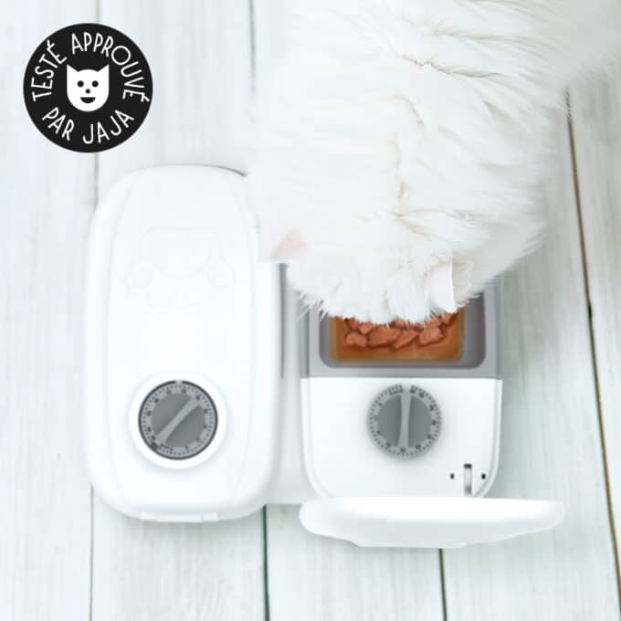 distributeur-alimentation-fraiche-patee-refrigere-chat-chien-sans-dent-30 Distributeur de pâtée pour chat réfrigérée