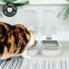 distributeur-alimentation-fraiche-patee-refrigere-chat-chien-sans-dent-31 Distributeur de pâtée pour chat réfrigérée