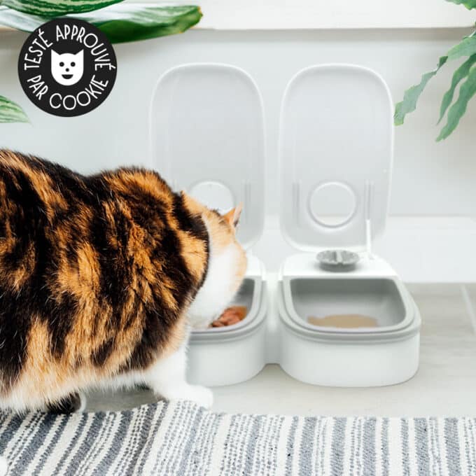 distributeur-alimentation-fraiche-patee-refrigere-chat-chien-sans-dent-31 Distributeur de pâtée pour chat réfrigérée