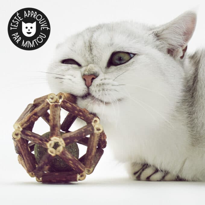 Balle en cataire et matatabi