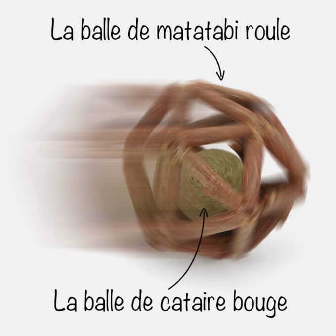 Balle d'herbe à chat cataire et matatabi