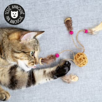 Balle en rotin avec plumes pour chat