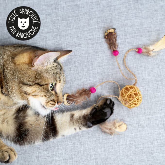 Balle en rotin avec plumes pour chat
