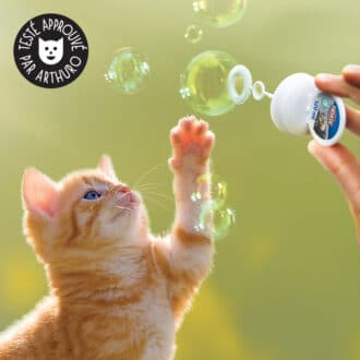 Bulles de savon herbe à chat Trixie