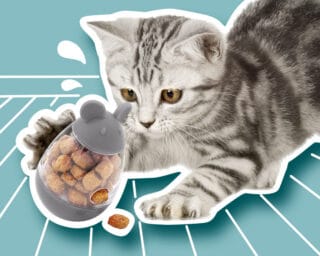 Jouet distributeur de croquettes chat
