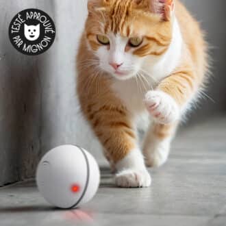 Balle interactive pour chat qui roule toute seule