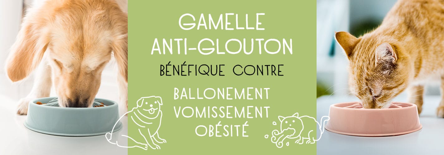 Boutique accessoires chat et chien