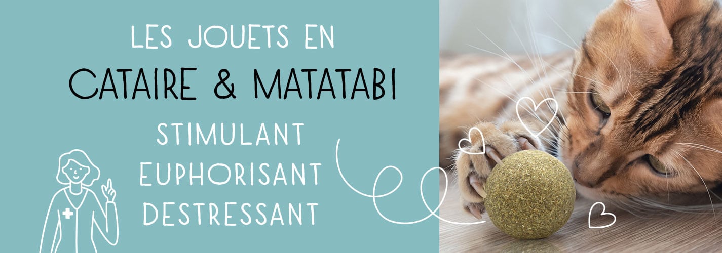 Boutique accessoires chat et chien