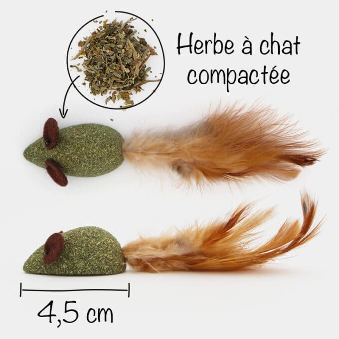 jouet souris herbe à chat cataire et plumes