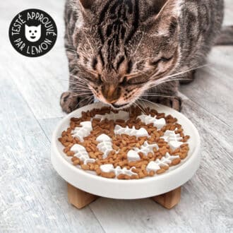 Gamelle anti-glouton en céramique chat surélevée