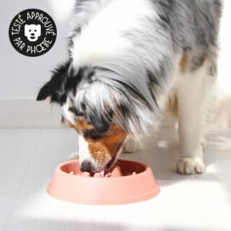 Gamelle anti-glouton chat et chien