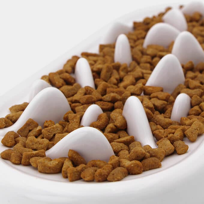 Plateau gamelle anti glouton chat