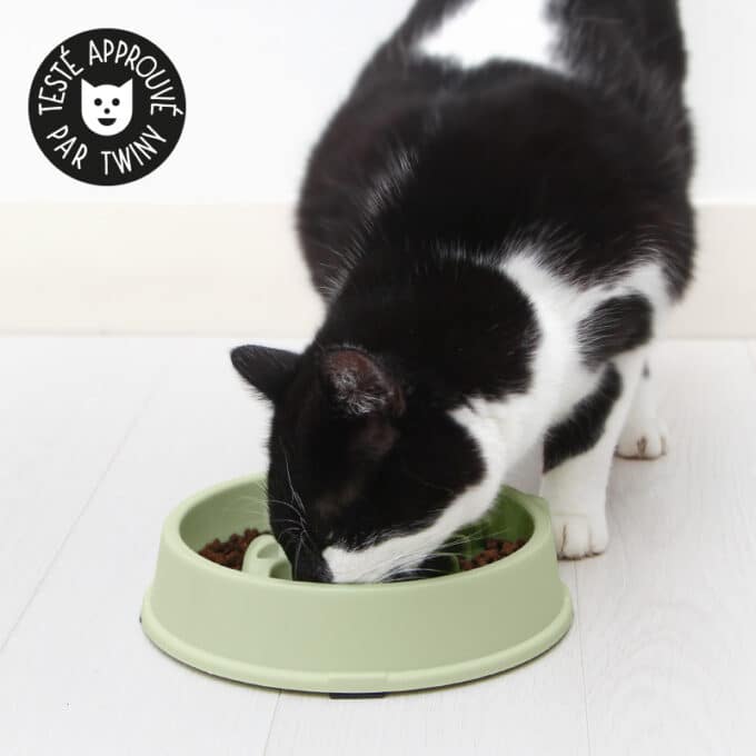 gamelle-antiglouton-chat-poisson-11