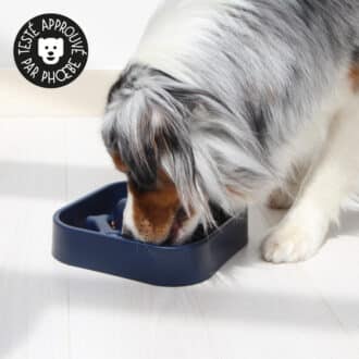 Meilleure gamelle anti-glouton pour chien et avis