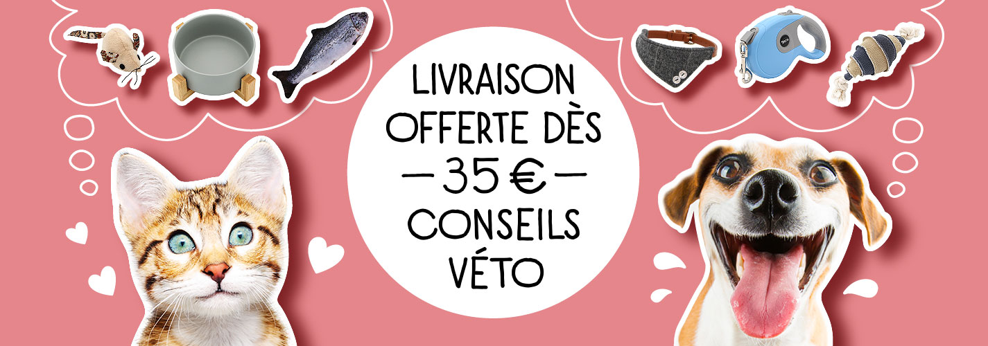 Boutique d'accessoires pour chat et chien