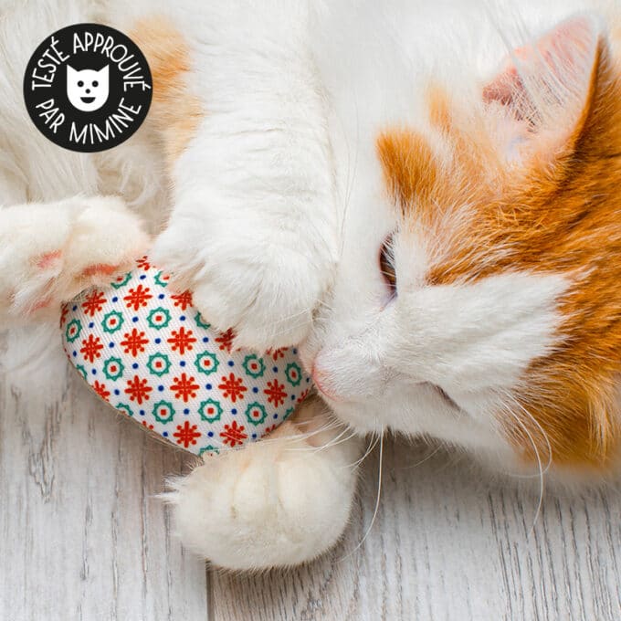coussin-balle-herbe-chat-cataire-effet Coussin herbe à chat effet