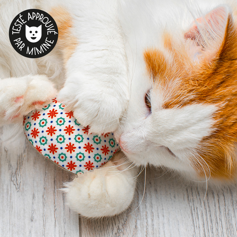 Coussin cœur à l'herbe à chat - Jouet en cataire - Catedogshop