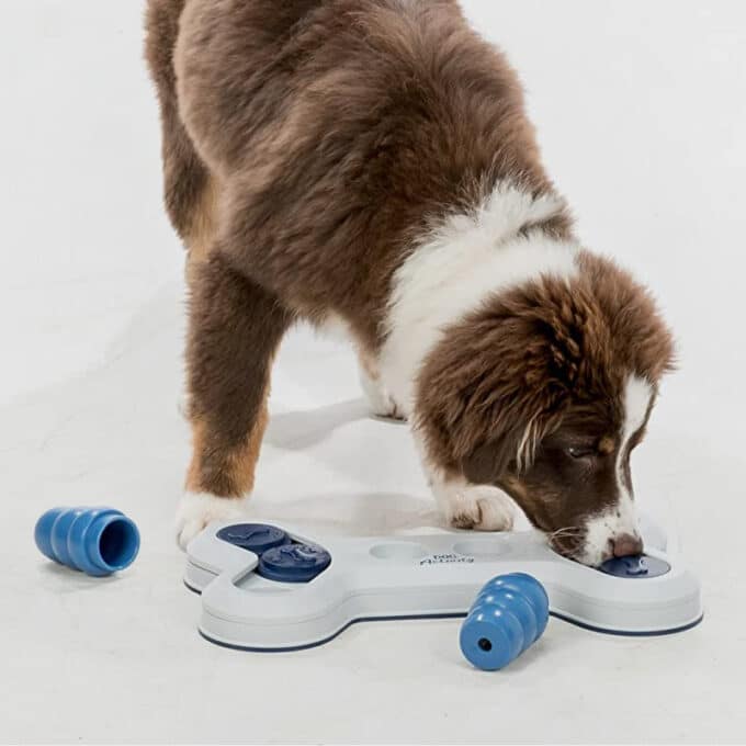 jouet-alimentaire-jeu-strategie-dog-activity-trixie-chien-6 jouet alimentaire interactif de stratégie et d'intelligence Dog Activity Trixie Flip Bone pour le chien